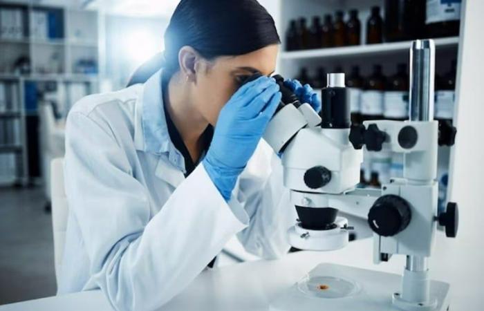 Moroccan universities facing the challenge of recruiting scientists