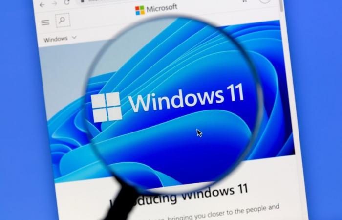 Windows 11 hits record memory footprint under Tiny11