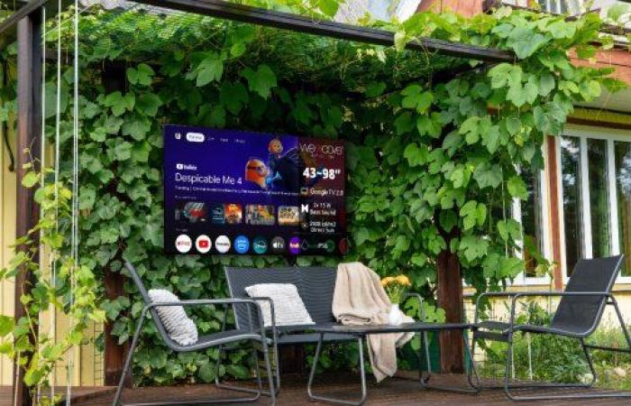 WEMOOVE hits hard at CES 2025 with the largest outdoor TV in the world