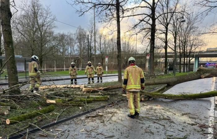 Storm Floriane crosses Belgium: yellow wind alert extended for all provinces, injuries reported