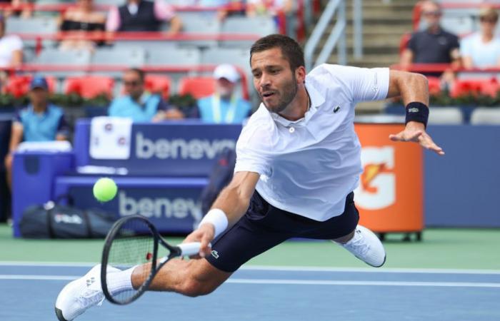 Davis Cup | Félix Auger-Aliassime will not represent Canada; Diallo and Galarneau chosen