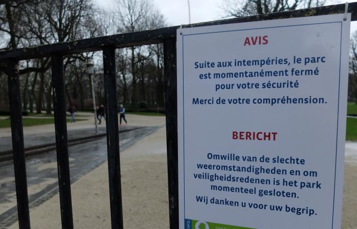 Bad weather: several rivers on pre-flood alert, closed parks in Brussels and various incidents