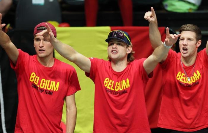 Davis Cup: Belgium still does without David Goffin, the full selection is known