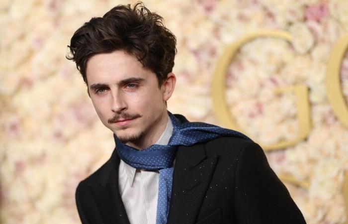 Timothée Chalamet Jokes and Red Carpet Moments at the 2025 Golden Globes