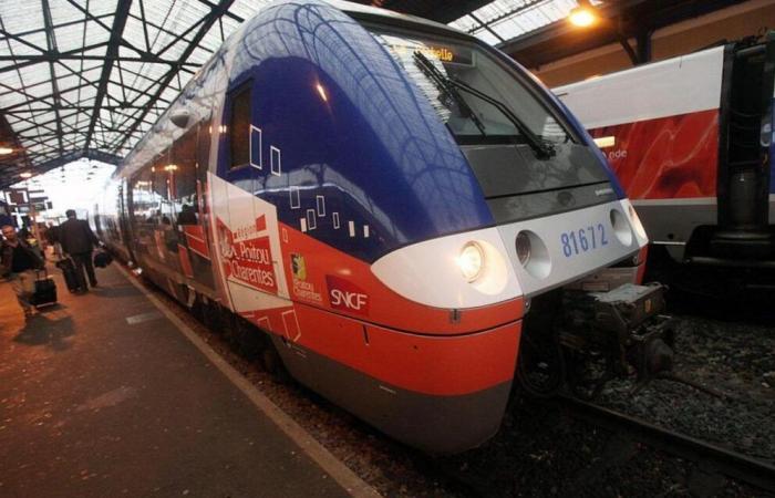 SNCF: when storm Floriane shuts down the Limoges-Angoulême line, although closed in 2018