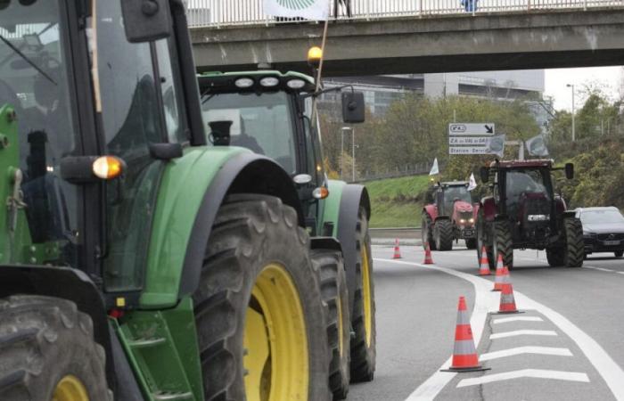 France: farmers from the Rural Coordination angry