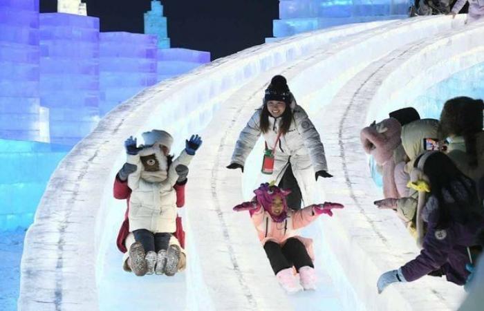 The Snow Queen in real life… See the dingo sculptures at the Harbin Ice Festival, China