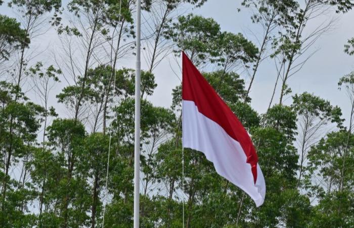 Brazil announces Indonesia’s entry into the bloc of emerging countries