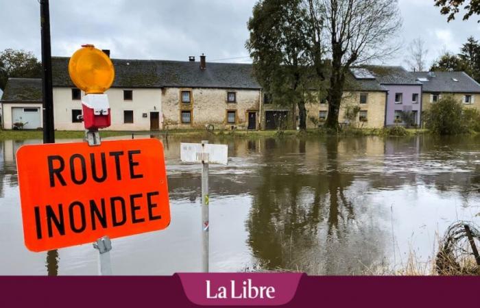 Bad weather: several rivers on pre-flood alert, closed parks in Brussels and various incidents