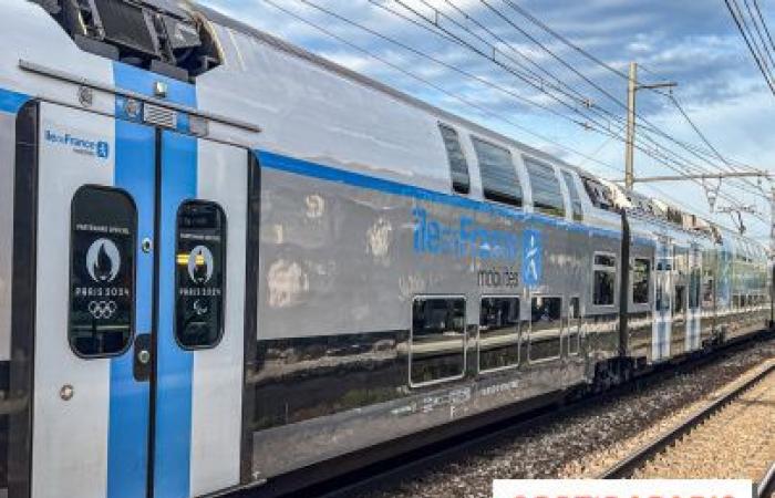 Storm Floriane in Île-de-France: disruptions announced on the RER and Transilien