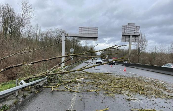 trees fell on this busy road in the Oise