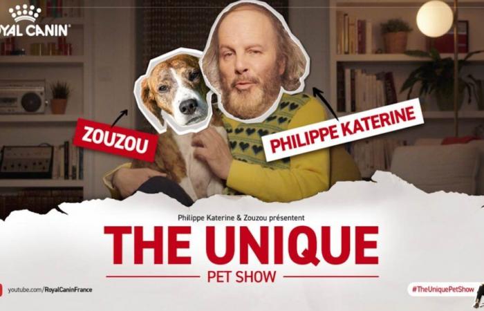 Contemporary cultureNewsRoyal Canin reveals The unique Pet Show, presented by Phlippe Katerine and Zouzou! A unique, offbeat talk show for animal lovers