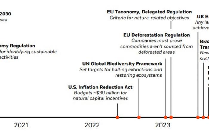 When biodiversity sows its seeds in asset management