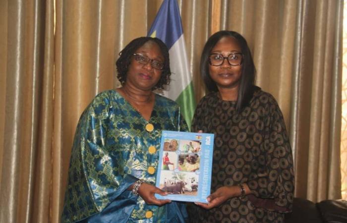 FAO press release: Burkinabè Dr Irène Ouoba takes office in Bangui as representative of the Food and Agriculture Organization of the United Nations (FAO) in the Central African Republic