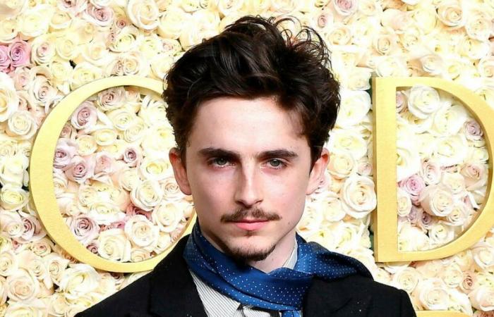 Timothée Chalamet consoles himself with Kylie Jenner at the Golden Globes