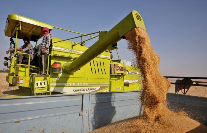 Indian flour mills face soaring wheat prices to record high