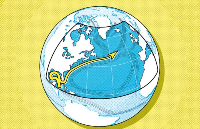 The possible collapse of the Atlantic ocean circulation, regulating the climate, worries scientists