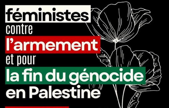 Rally January 8 Feminists Against Armament and for the End of the Genocide in Palestine