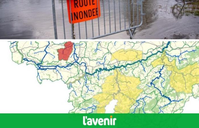 Now 13 rivers in flood pre-alert and one in alert phase this Monday January 6 in Wallonia: the SPW advises protecting your homes