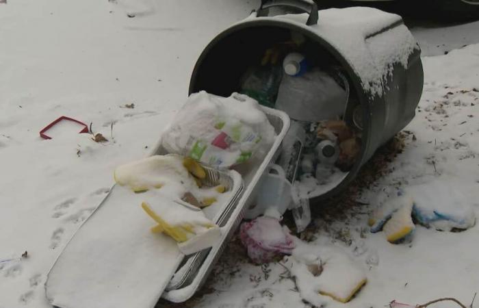 Montreal, the trash city | The Montreal Journal