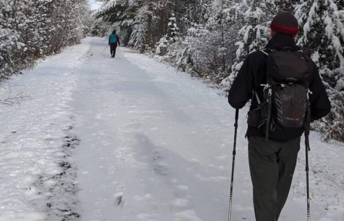 The Chemin du Québec, which connects Montreal to Gaspé, is attracting more and more fans