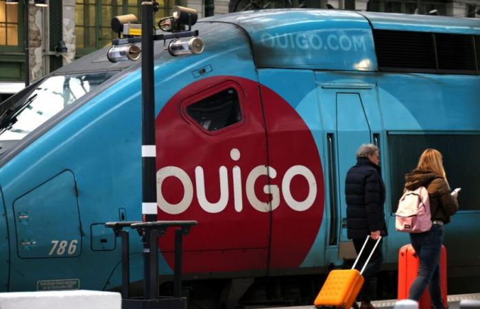 Cockroaches, bedbugs, out-of-service toilets… SNCF unions consider the state of the Ouigo TGV trains “deplorable”