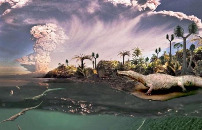 The discovery of giant mesosaurs questions researchers