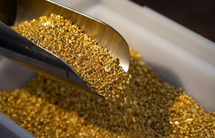 Goldman Sachs sees the price of gold reaching $3,000 by mid-2026 – 01/06/2025 at 1:02 p.m.