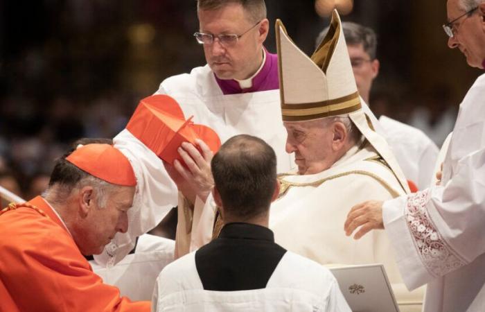 Pope Names Robert McElroy, an Ally on Immigration, as Cardinal in Washington