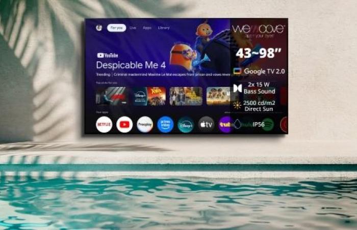 WEMOOVE hits hard at CES 2025 with the largest outdoor TV in the world