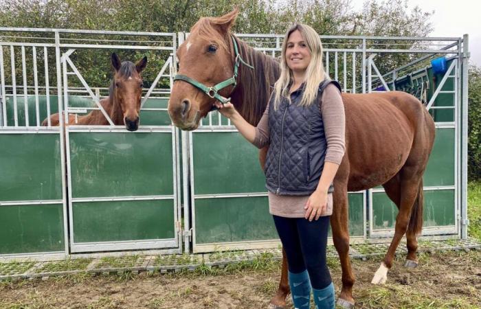 the Adventure Refuge, a haven of peace for abandoned animals