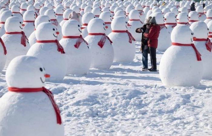 The Snow Queen in real life… See the dingo sculptures at the Harbin Ice Festival, China