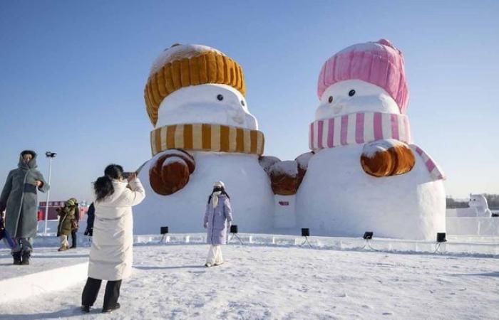 The Snow Queen in real life… See the dingo sculptures at the Harbin Ice Festival, China