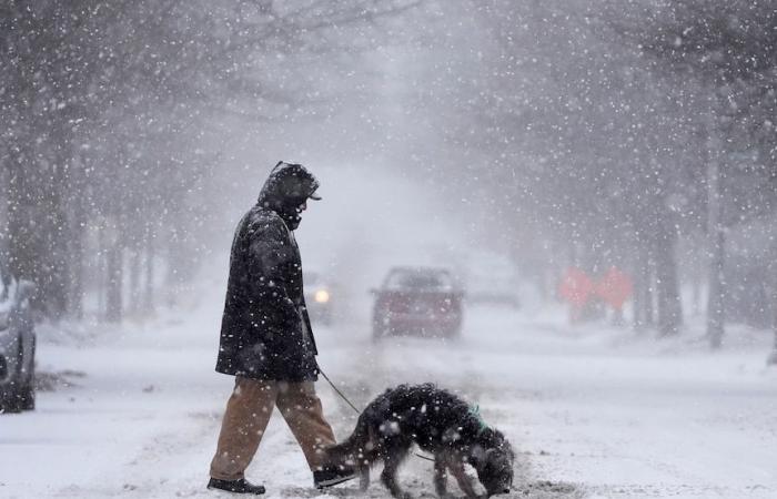 Heavy snow brings disruption across Europe, US braces for heavy snow