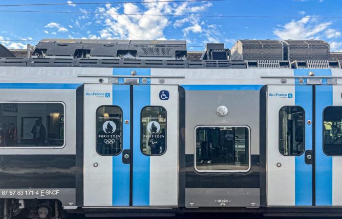 Storm Floriane in Île-de-France: disruptions announced on the RER and Transilien