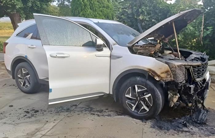 Emergency dads! Sorento, the No. 1 family car, suffered a historic fire