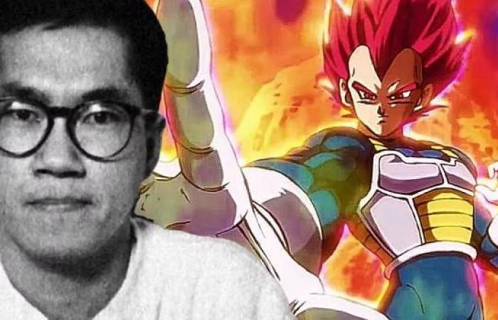 Akira Toriyama on the filler episodes of Dragon Ball