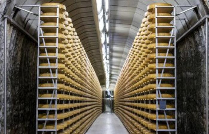 Cheese of protected origin obtains higher prices