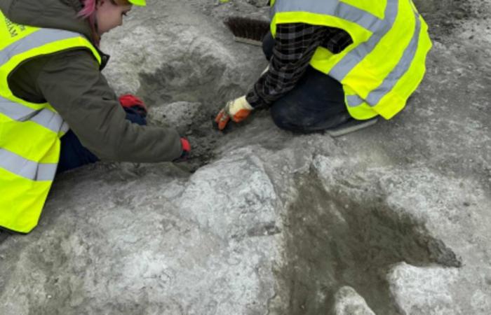 ‘Surreal’: 166 million-year-old dinosaur footprints discovered in UK