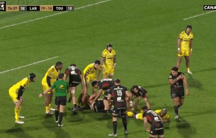 Salary cap of QI, Street Fighter, Camicha… The eye of Ovale Masqué on the 14th day of Top 14