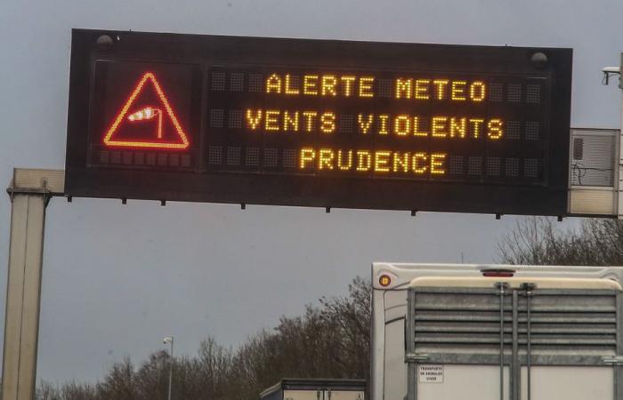 violent winds, the Meuse on orange alert, train traffic disrupted