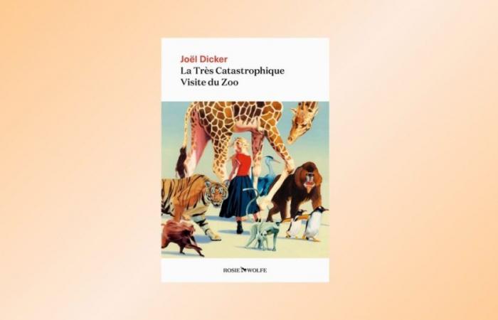 The Very Catastrophic Visit to the Zoo, new novel by Joël Dicker