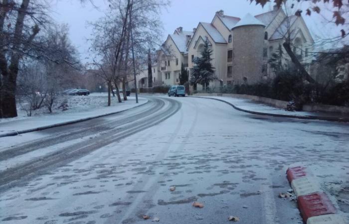 The city of Ifrane dresses in white again (photos)