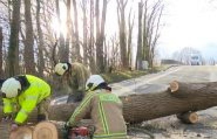 Strong winds: Place De Brouckère and part of Boulevard Anspach closed, here’s why