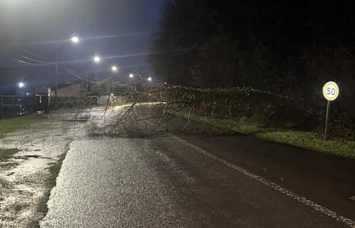 Storm Floriane: strong gusts of wind on the Oise, fallen trees, trains stopped between Creil and Compiègne