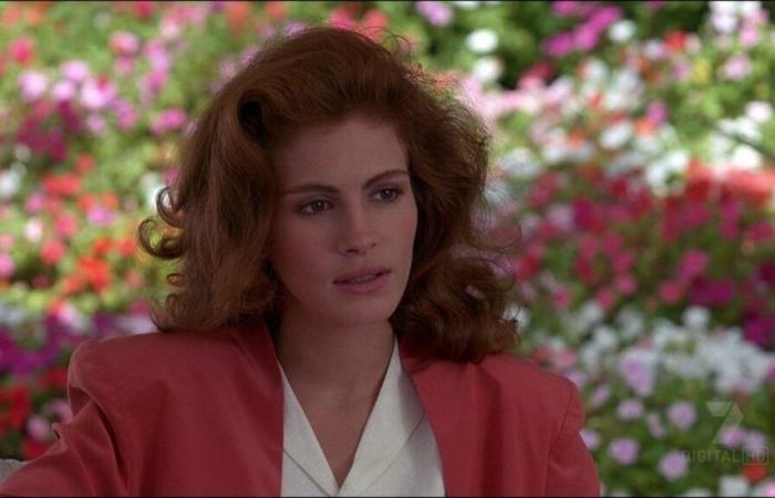 ‘I Couldn’t Do It’ Why Did Julia Roberts Almost Never Play Vivian Ward?