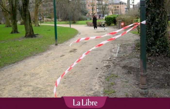 LIVE – Belgium affected by violent winds: signs fall on Place De Brouckère, damage observed in several places