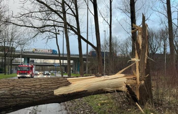 Storm Floriane crosses Belgium: yellow wind alert extended for all provinces, injuries reported