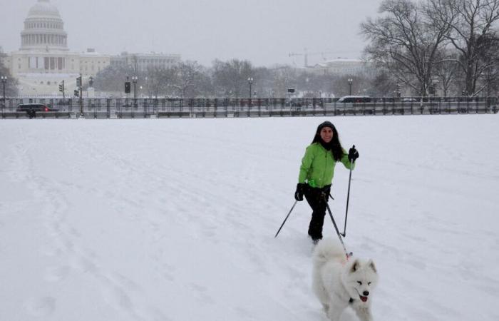 Five dead, huge power outages… central and eastern United States swept by powerful winter storm