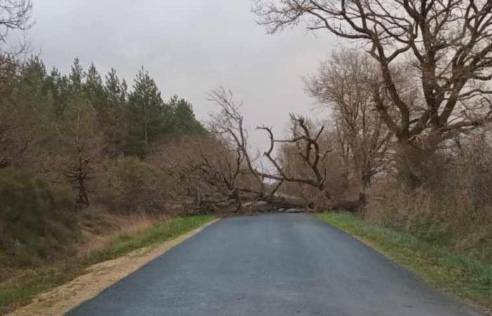 limited damage in Indre